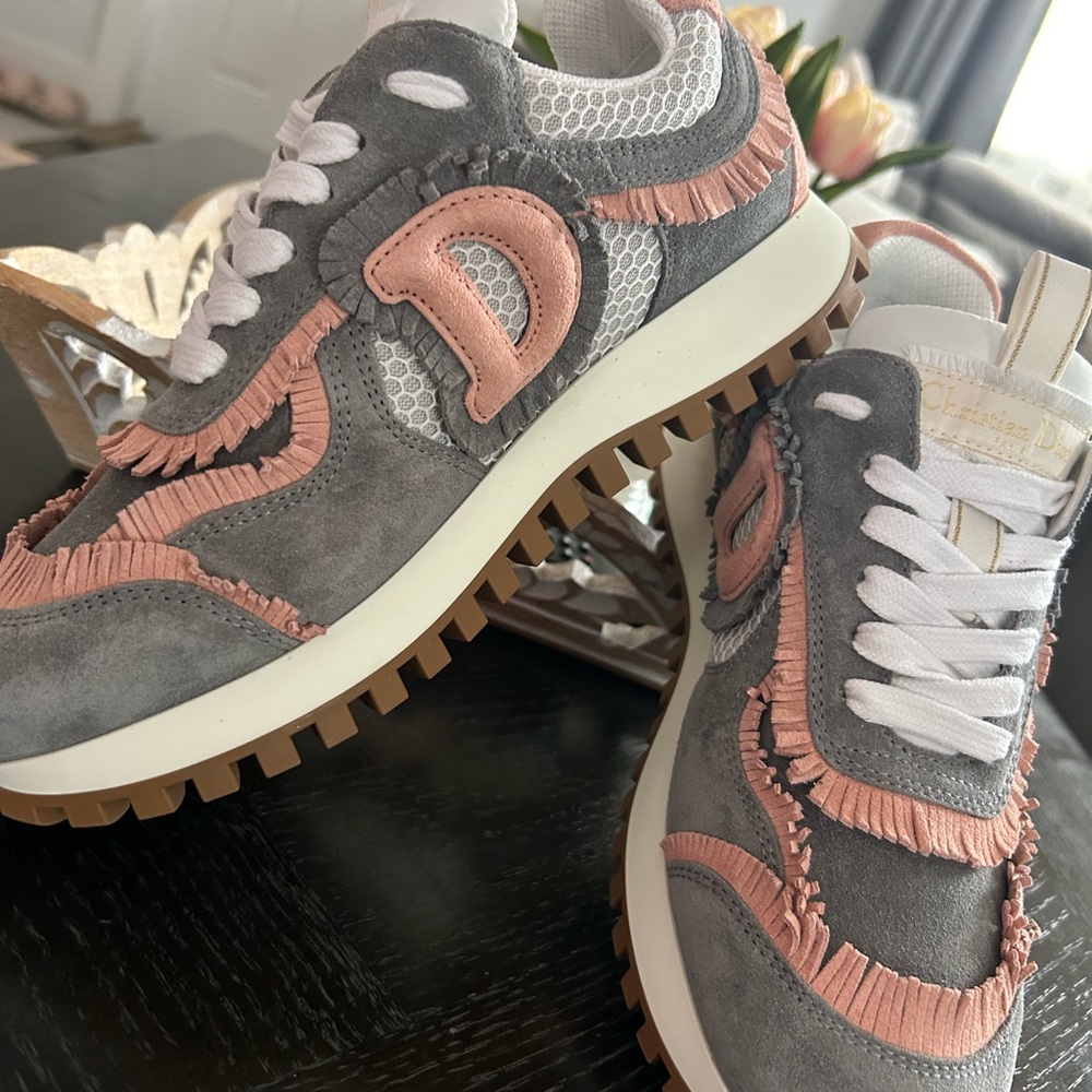 Dior sneaker-grey and punk suede